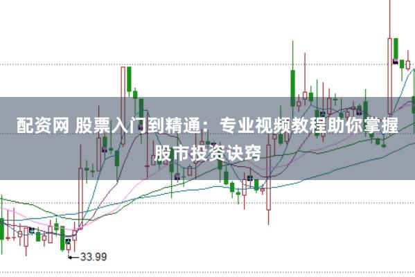 配资网 股票入门到精通：专业视频教程助你掌握股市投资诀窍