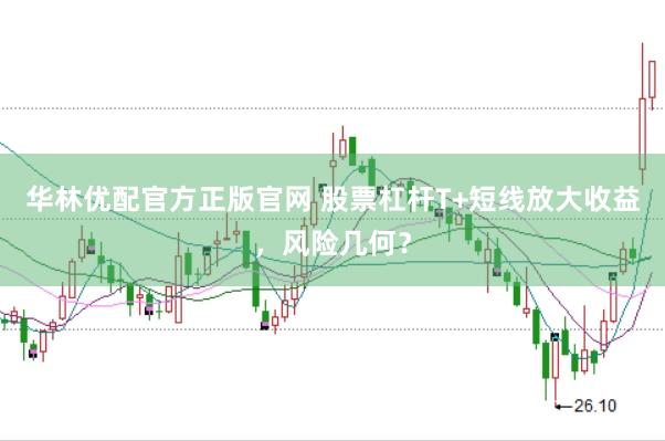 华林优配官方正版官网 股票杠杆T+短线放大收益，风险几何？