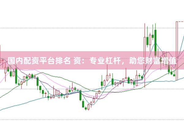 国内配资平台排名 资：专业杠杆，助您财富增值