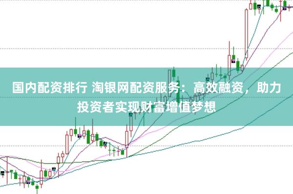 国内配资排行 淘银网配资服务：高效融资，助力投资者实现财富增值梦想