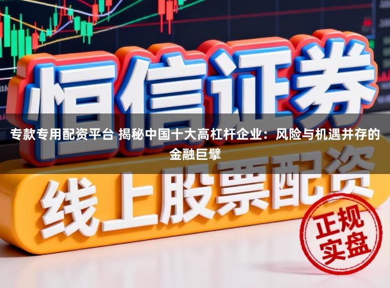 专款专用配资平台 揭秘中国十大高杠杆企业：风险与机遇并存的金融巨擘
