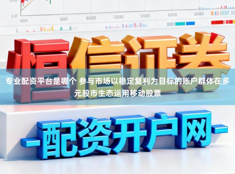 专业配资平台是哪个 参与市场以稳定复利为目标的账户群体在多元股市生态运用移动股票