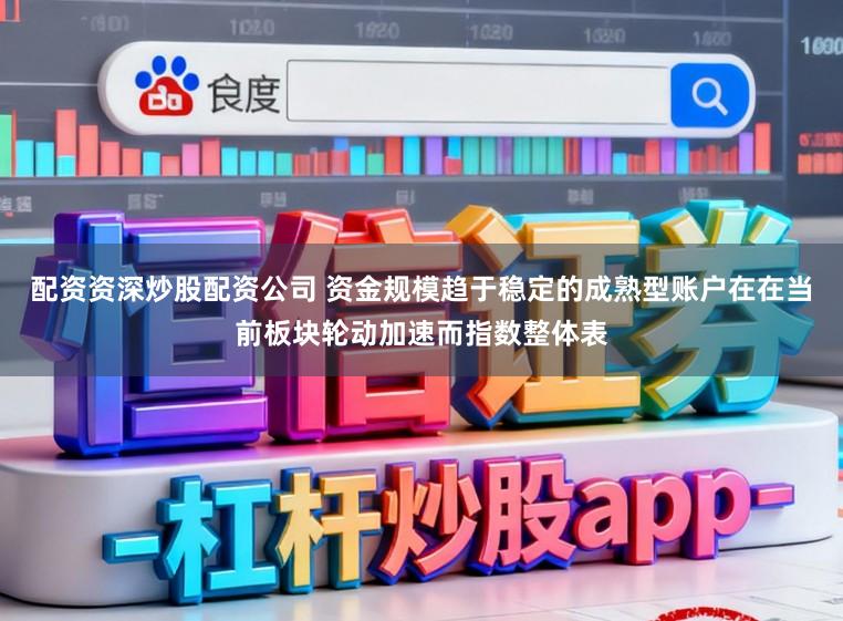 配资资深炒股配资公司 资金规模趋于稳定的成熟型账户在在当前板块轮动加速而指数整体表