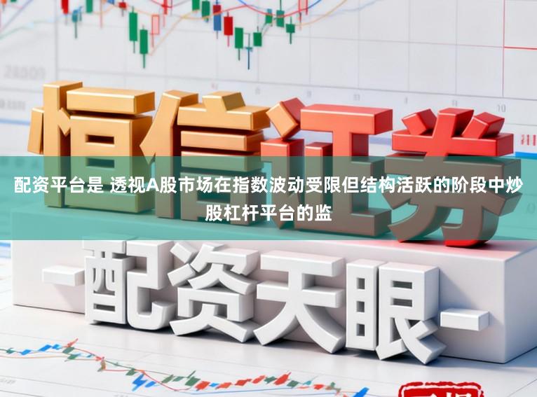 配资平台是 透视A股市场在指数波动受限但结构活跃的阶段中炒股杠杆平台的监