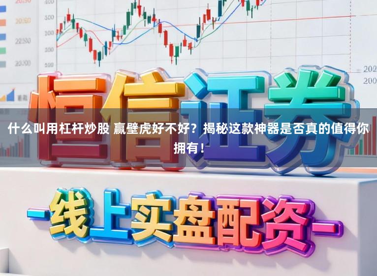 什么叫用杠杆炒股 赢壁虎好不好？揭秘这款神器是否真的值得你拥有！
